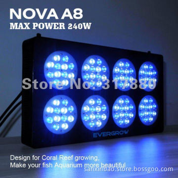 Coral Reef Aquarium Nova A8 LED Lighting